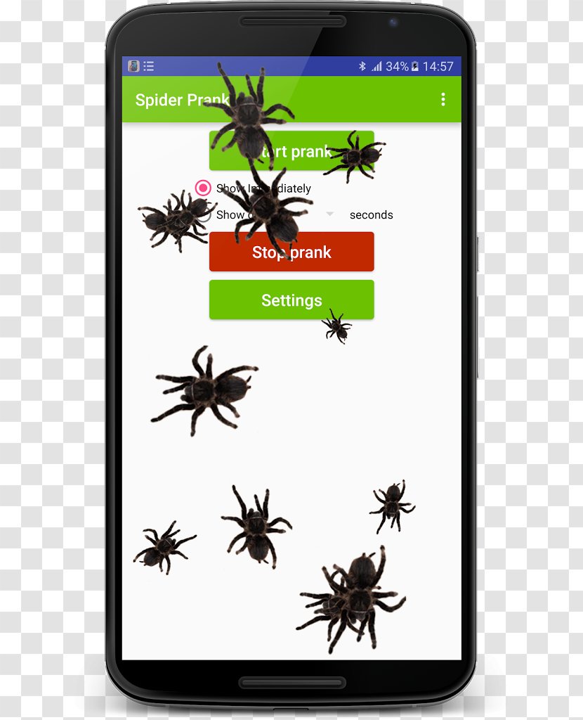 Screenshot Ant Run Android Transparent PNG