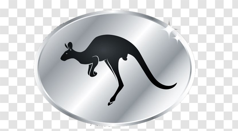 Eastern Grey Kangaroo - Vecteur - Silver Transparent PNG