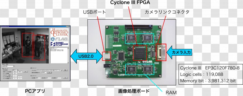 Motherboard Electronic Component Electronics Network Cards & Adapters Circuit - Tree - Decomposition Transparent PNG