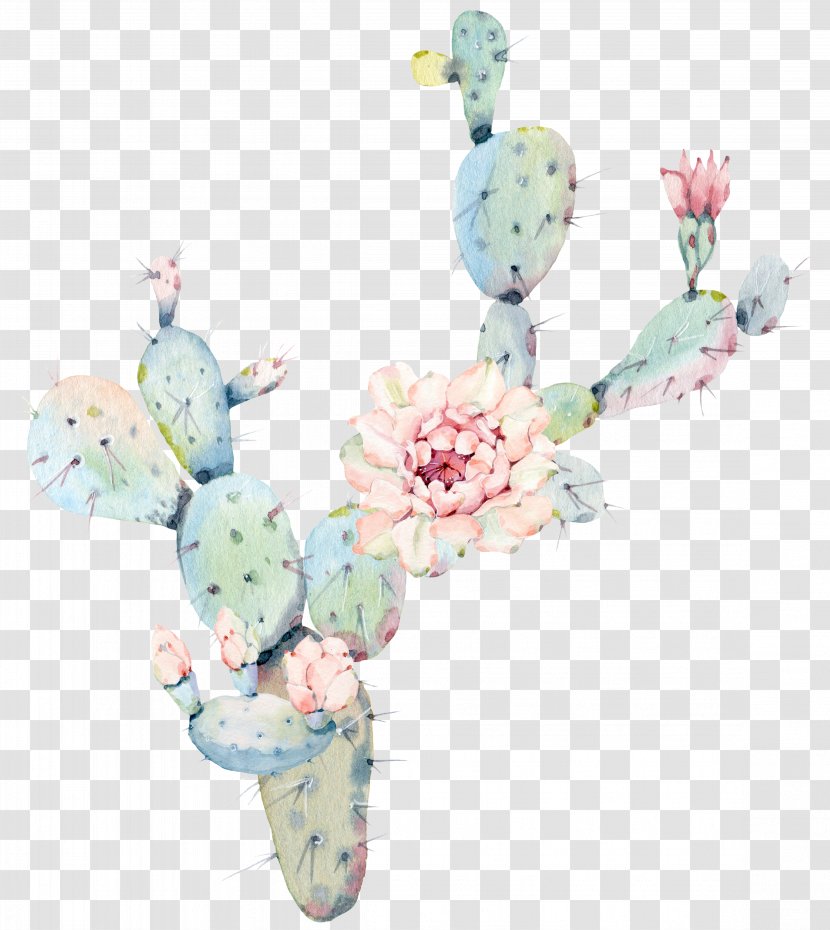 Water Color Flower Cactus Plant - Canvas - Saguaro Transparent PNG