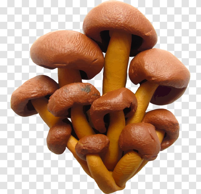 Plasticine Illustration - Mushroom - Cartoon Mushrooms Transparent PNG