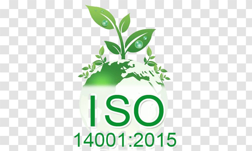 ISO 9000 14001 Environmental Management System International Organization For Standardization 14000 - Certification - Iso Transparent PNG