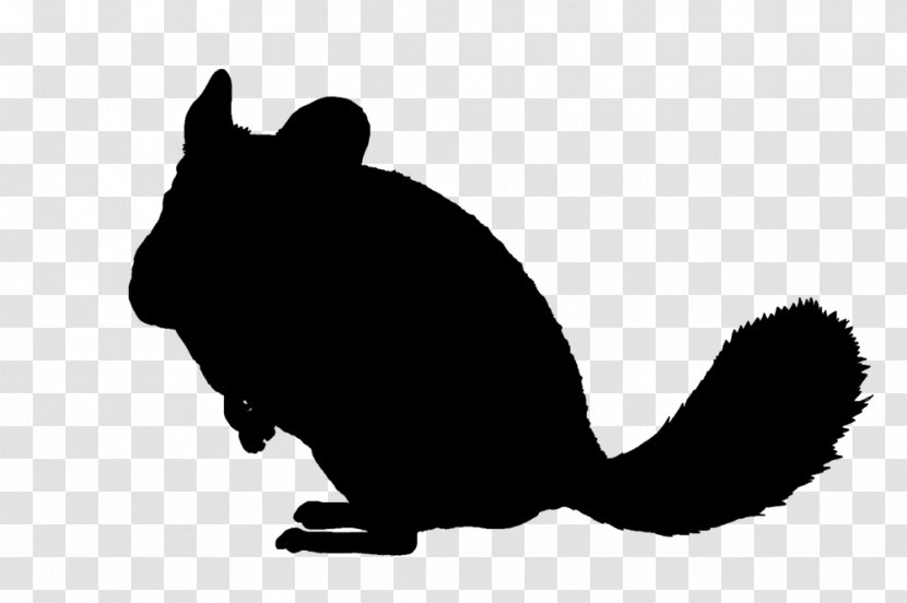 Whiskers Silhouette Chinchilla Black And White Transparent PNG