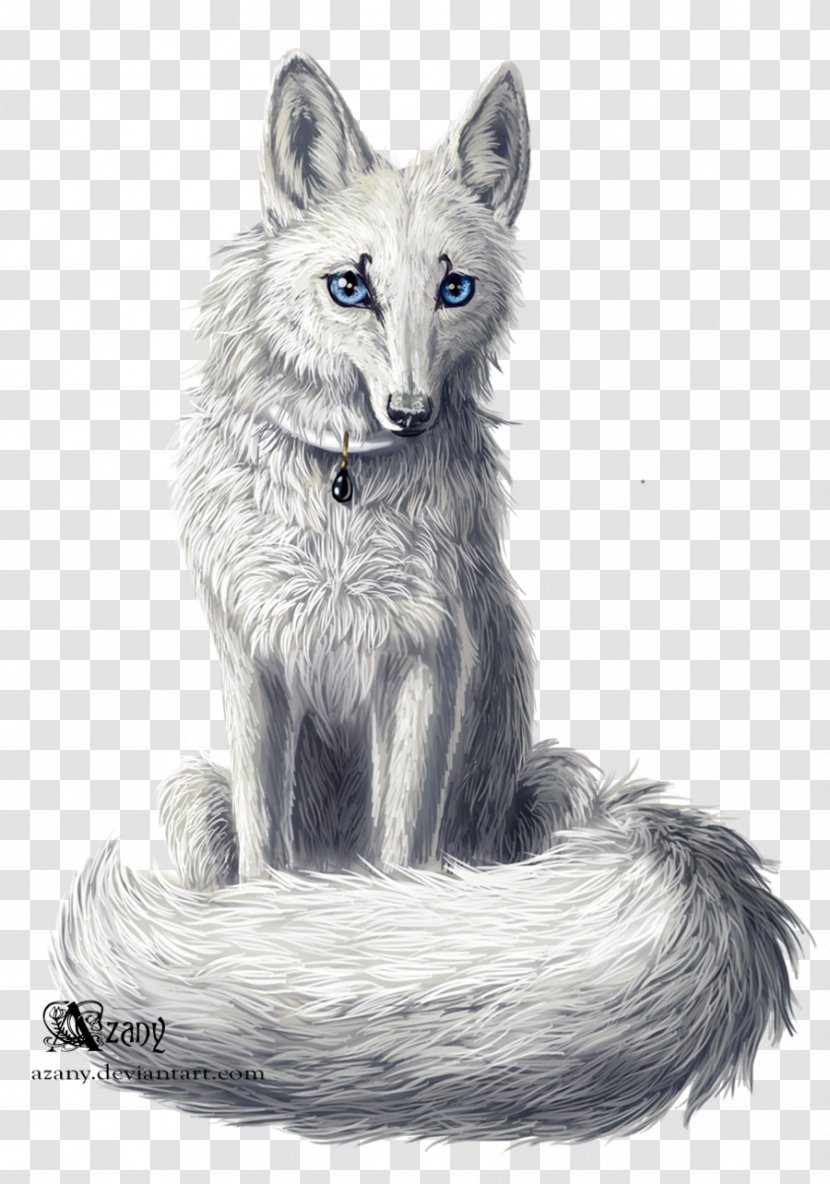 Red Fox Gray Wolf Kit Fur Drawing - Dog Like Mammal Transparent PNG