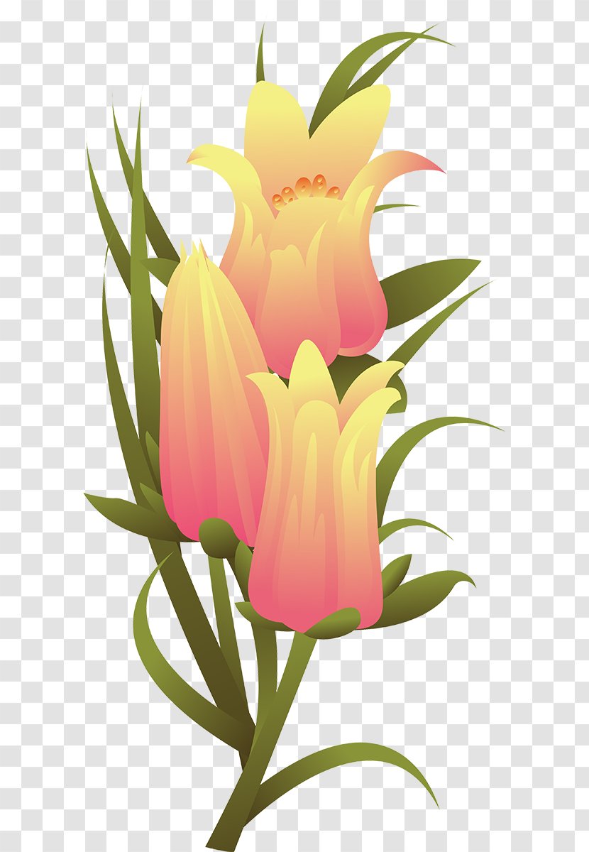 Floral Design Cut Flowers Flower Bouquet Tulip Transparent PNG