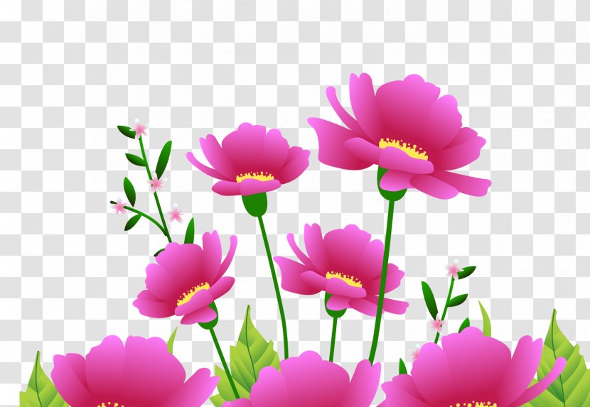 Flower Pink Red - Plant - Rose Transparent PNG