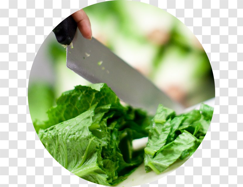 Vegetarian Cuisine Salsa Leaf Vegetable Spring Greens Collard - Romaine Lettuce Transparent PNG