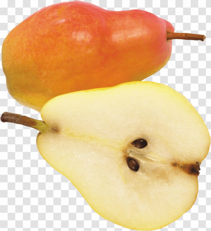 European Pear Fruit Apple - Produce - Image Transparent PNG