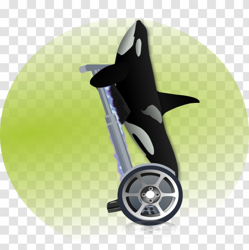 Orca Games Wheel - Killer Whale - Design Transparent PNG