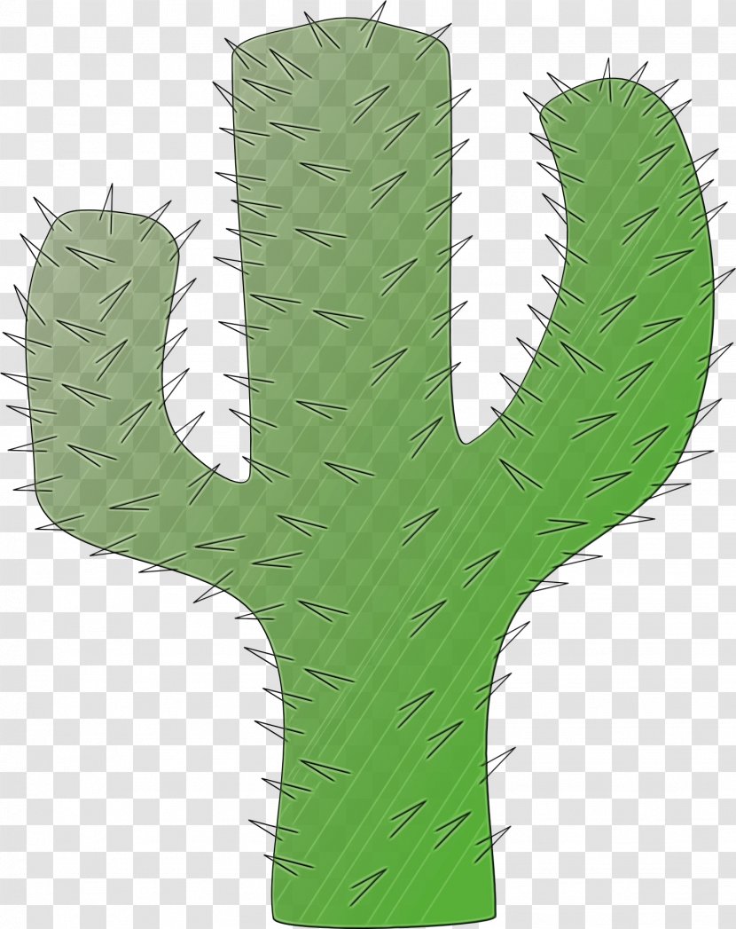 Green Grass Background - Prickly Pear Hedgehog Cactus Transparent PNG