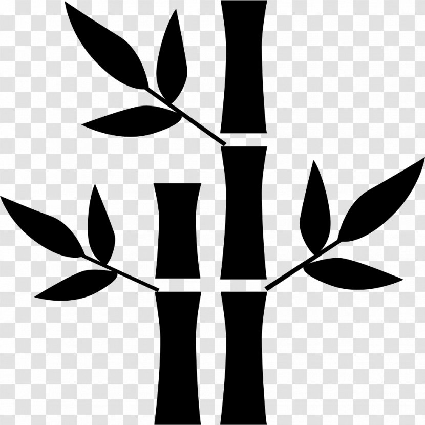 Bamboo Vector - Plant Stem - Tree Transparent PNG
