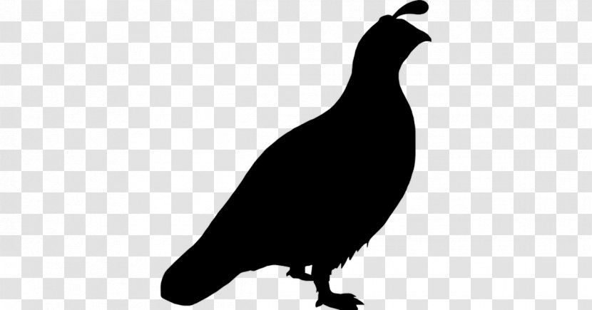 Quail Bird Transparent PNG