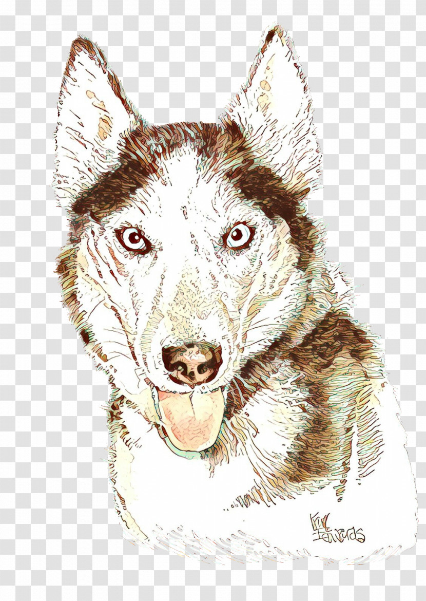 Dog Head Drawing Working Dog Transparent PNG