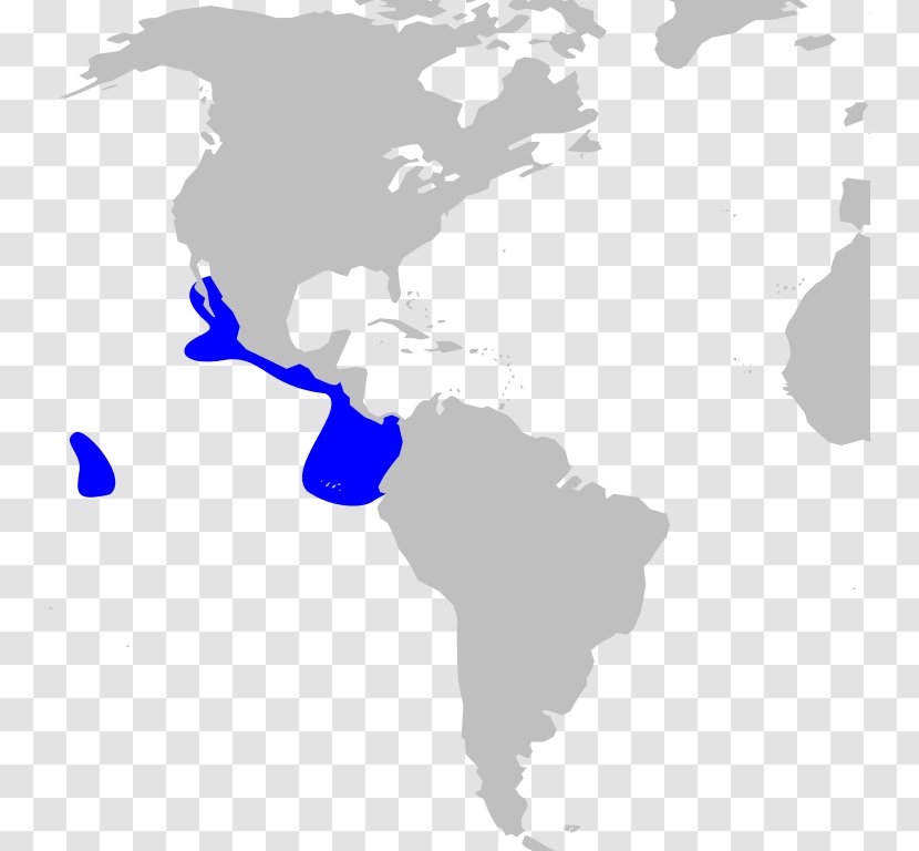 Spanish Empire Colonization Of The Americas Dutch United States - Country Transparent PNG