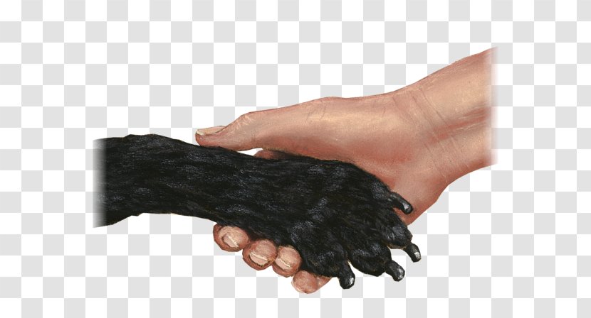 Thumb - Shake Hands Transparent PNG