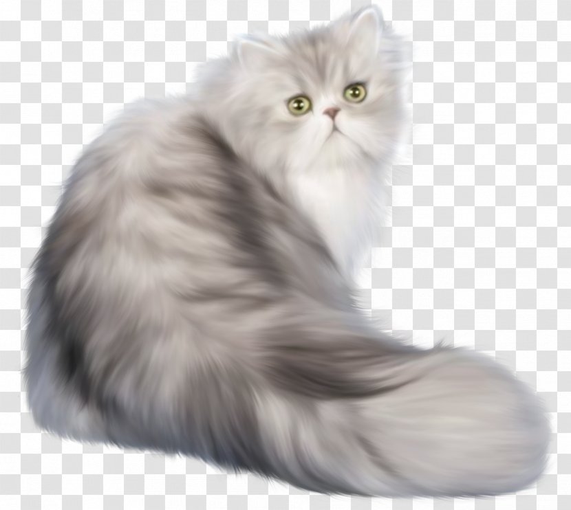British Shorthair Android Application Package Clip Art - Cotton, Pile Cat Transparent PNG