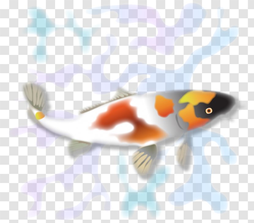 Koi Fauna Marine Biology Fish - Orange Transparent PNG