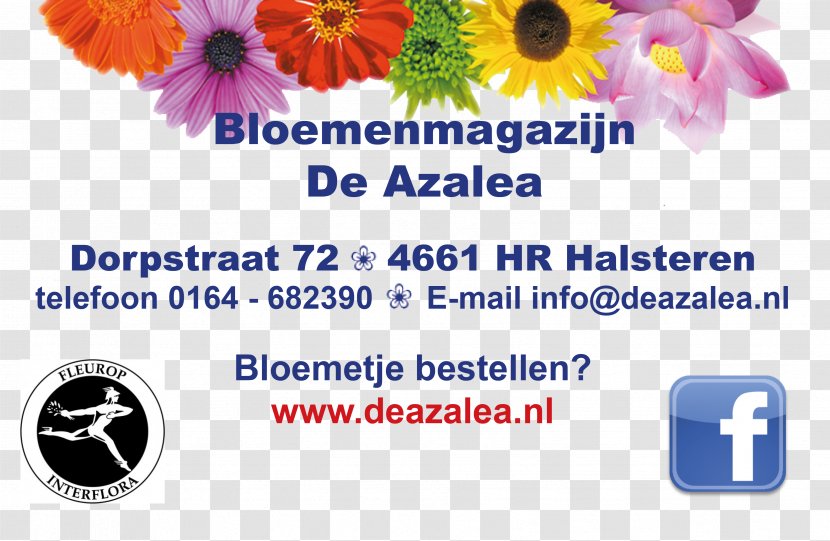 Floral Design Cut Flowers Interflora Brand - Plant - Azalea Transparent PNG