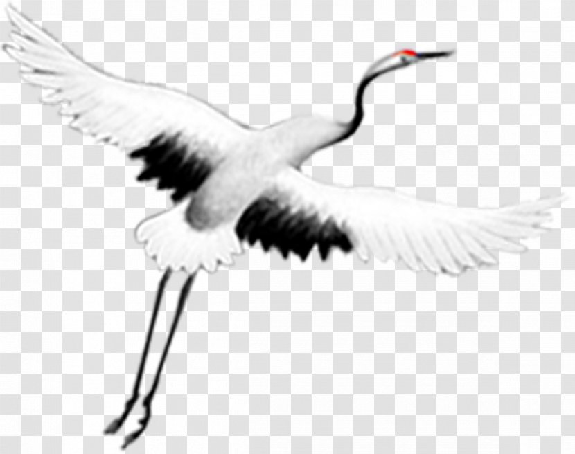 Crane Art Clip - Ducks Geese And Swans - Flying Transparent PNG