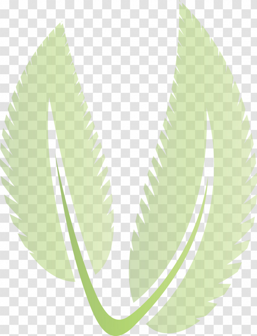 Leaf Green Font Close-up Line Transparent PNG