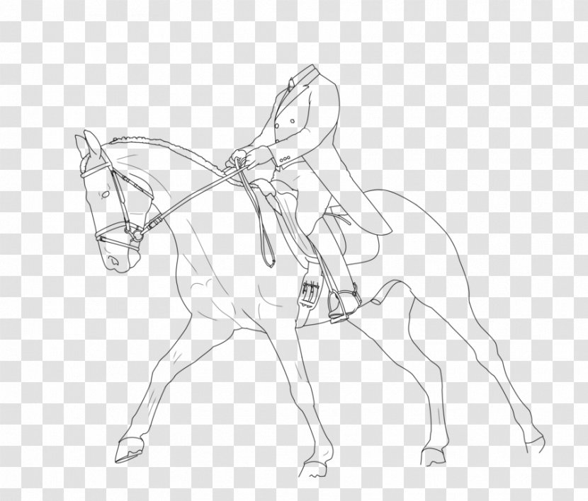 Mule Dutch Warmblood Bridle Line Art Sketch - Arm - Horse Transparent PNG