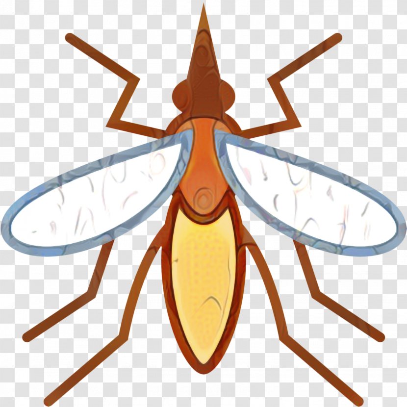 Design Icon - Symmetry - Membranewinged Insect Transparent PNG