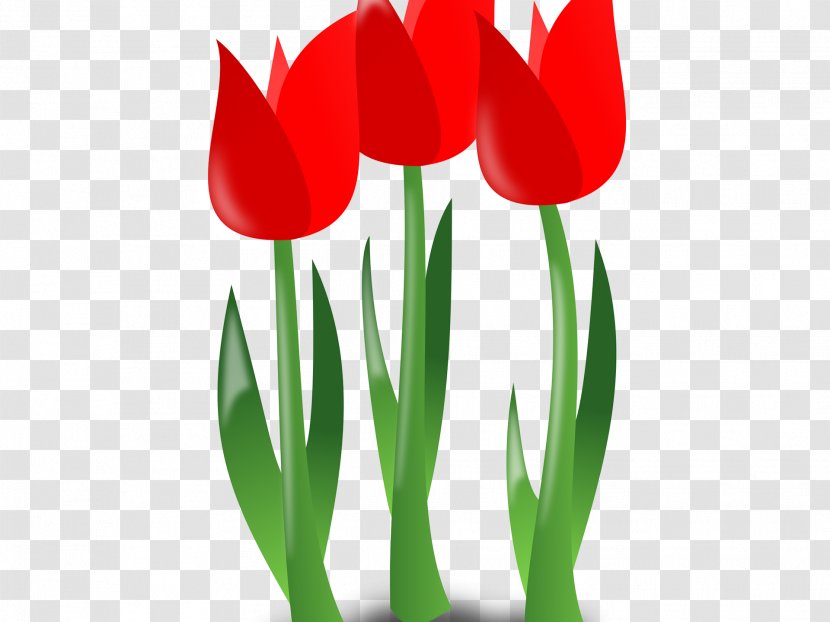 Background Family Day - Tulip - Lily Coquelicot Transparent PNG