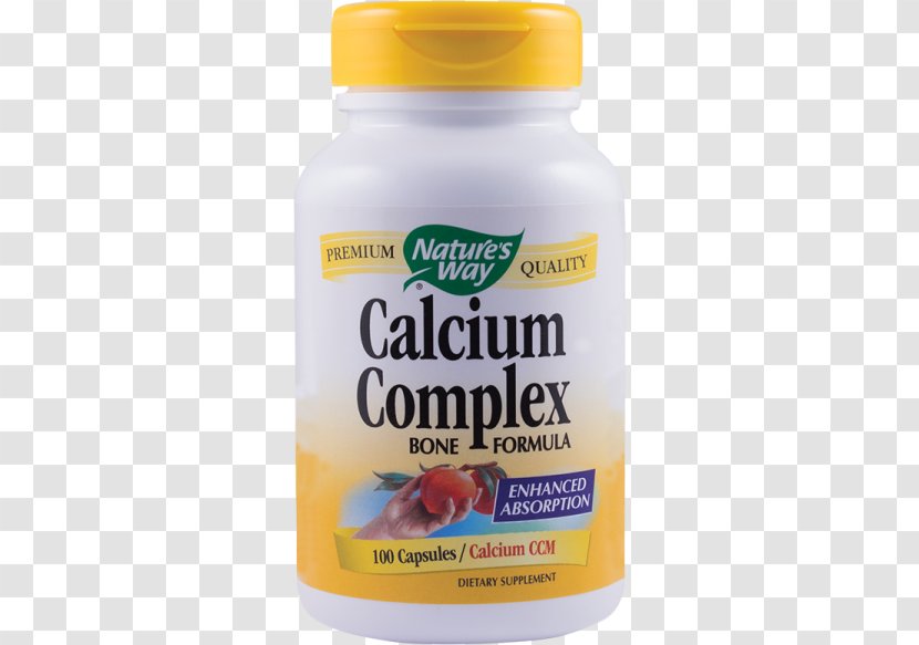 Dietary Supplement Multivitamin Nature Capsule - Vitamin B6 - Calcium Bone Transparent PNG