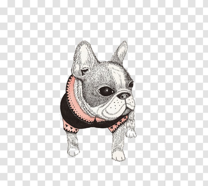 French Bulldog Pug Boston Terrier Illustration - Dog Breed - Puppy Animals Decorative Painting Transparent PNG