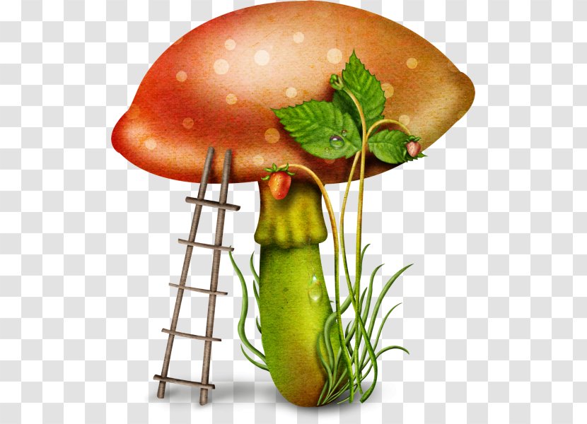 Fungus Mushroom Clip Art - Digital Image - Ladder With Mushrooms Transparent PNG