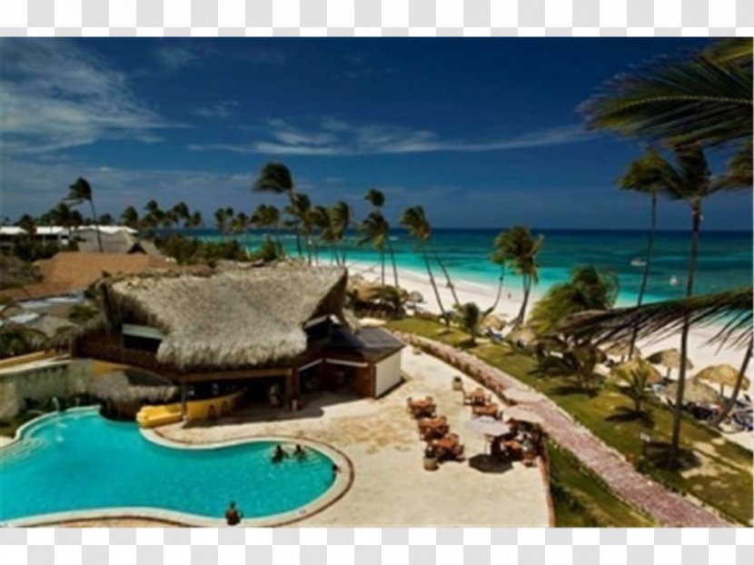 Arena Gorda Beach VIK Hotel Cayena Blanca All Inclusive All-inclusive Resort - Estate Transparent PNG