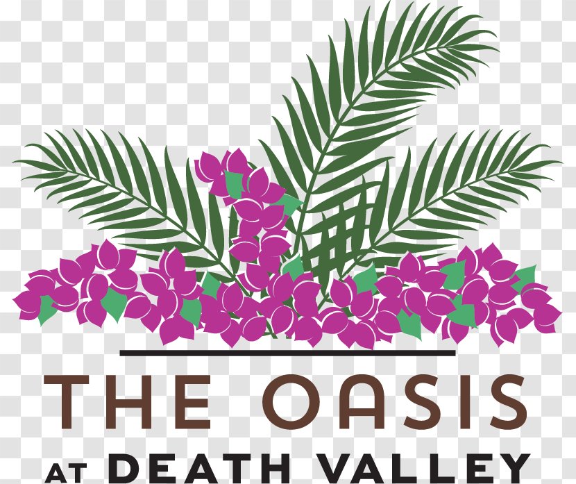 The Oasis At Death Valley Furnace Creek Inn Resort Hotel - National Park Transparent PNG