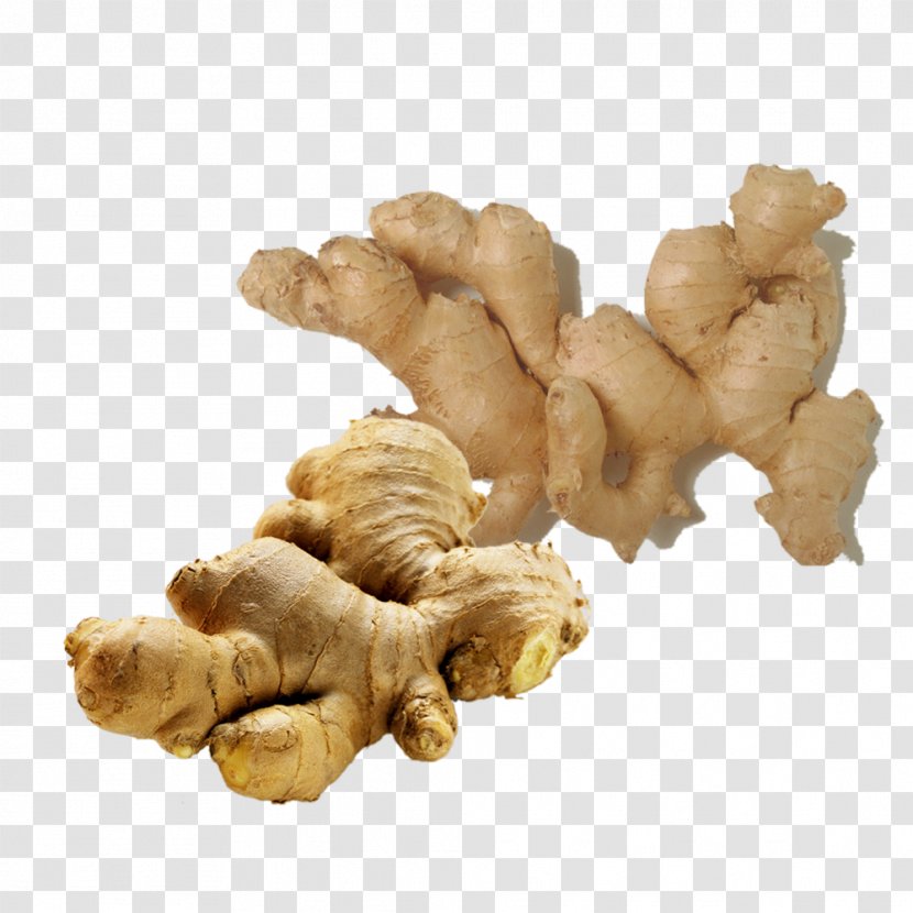 Ginger Essential Oil Distillation Food - Zingerone - Pictures Transparent PNG