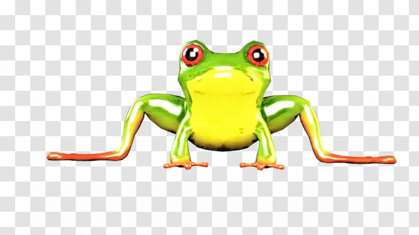 True Frog Tree Toad Product Design - Hyla Transparent PNG