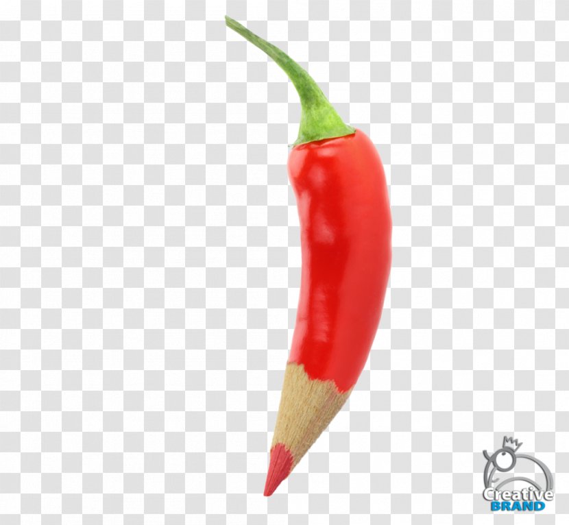 Habanero Bird's Eye Chili Serrano Pepper Tabasco Cayenne - Spice - Brand Creative Transparent PNG