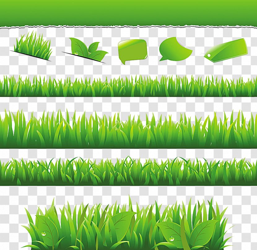 Environmentally Friendly Royalty-free Stock Photography - Grass Family - Leaf Transparent PNG