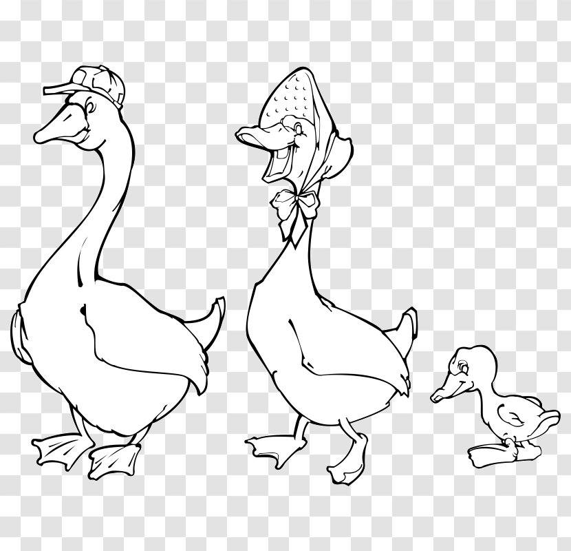 Duck Chicken Goose Bird Grey Geese - Ducks Transparent PNG