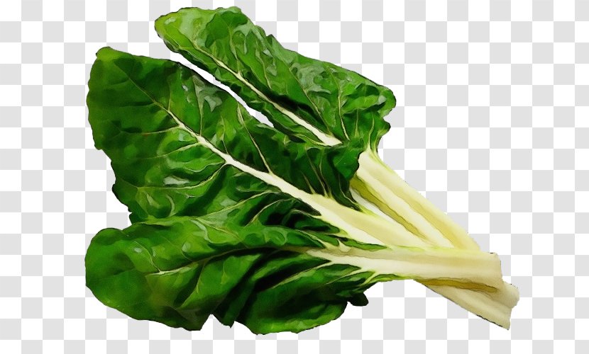 Leaf Vegetable Chard Food - Spinach - Tatsoi Transparent PNG