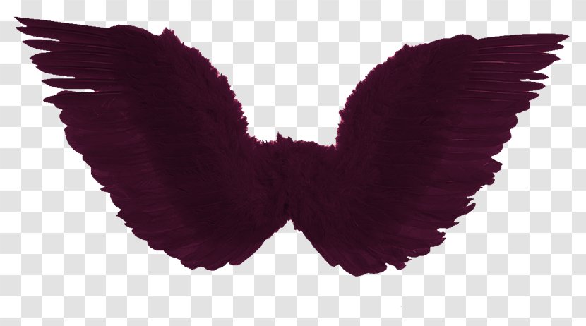 Costume Party Disguise Halloween Feather - Red - Xq Transparent PNG
