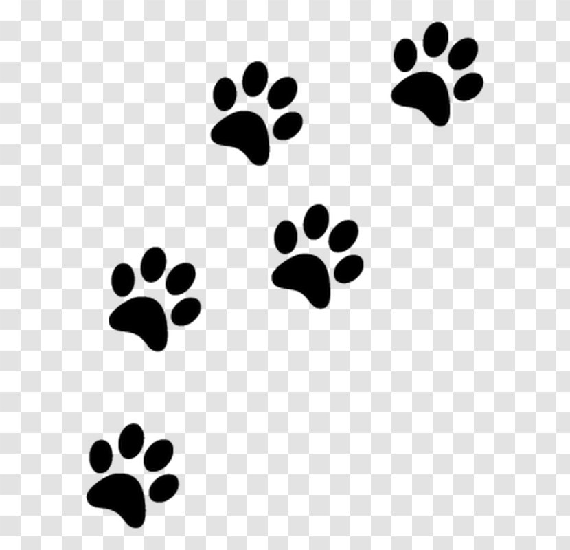 Cat Yorkshire Terrier Paw Clip Art - Petal - Tampon Amour Transparent PNG
