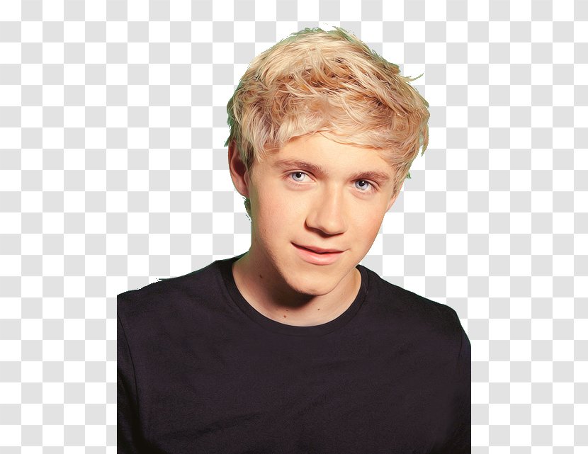 Niall Horan One Direction Crying Blond Sadness - Tree Transparent PNG