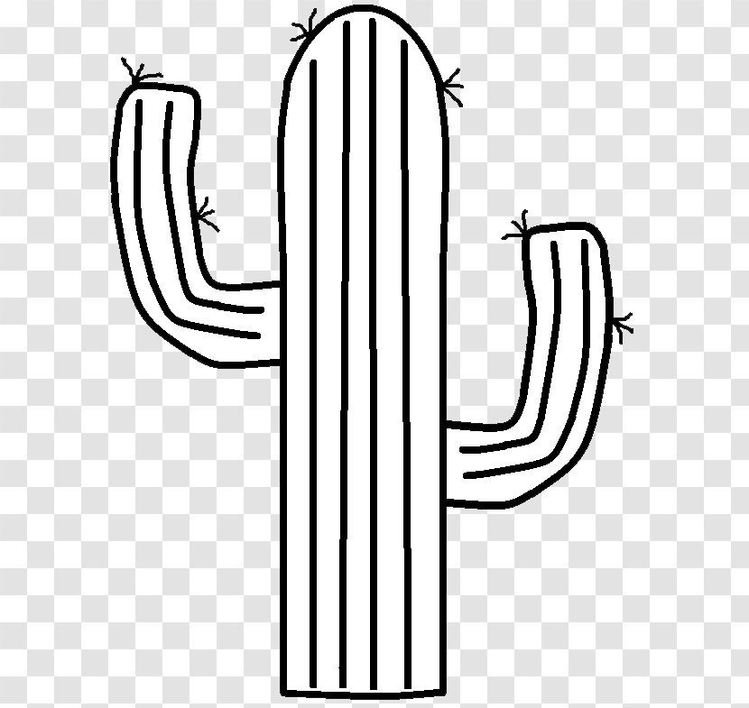 Cactaceae Drawing Clip Art - Line - Western Transparent PNG