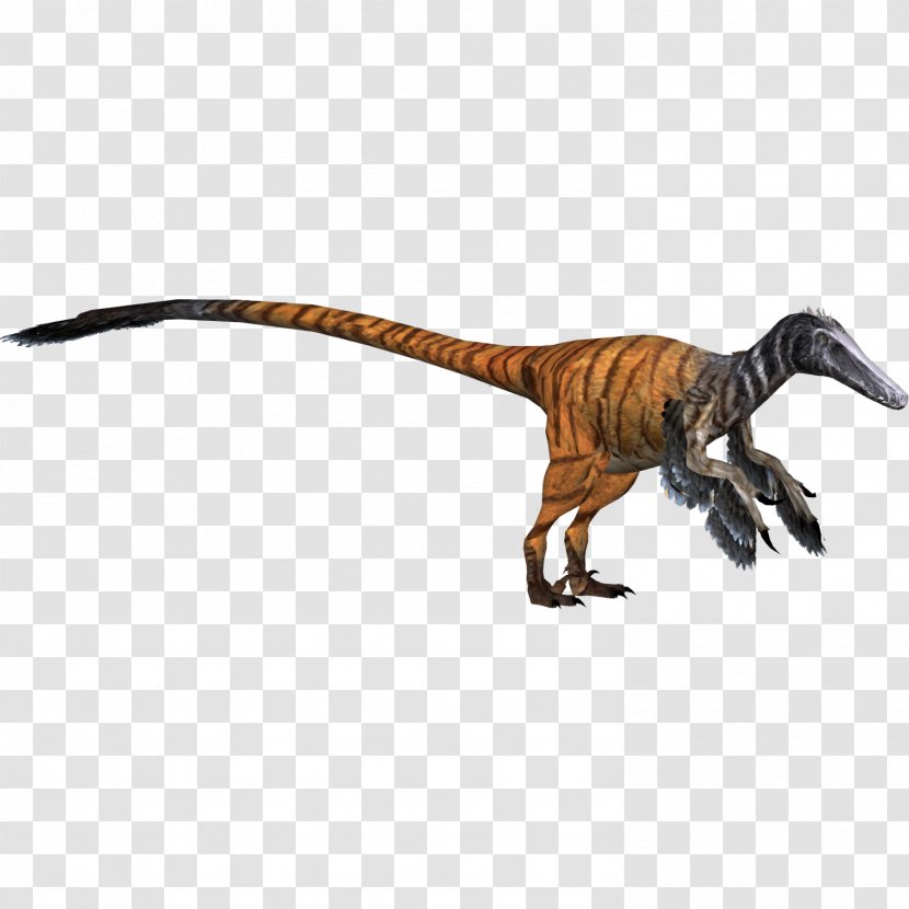 Zoo Tycoon 2 Velociraptor Tyrannosaurus Dinosaur Transparent PNG