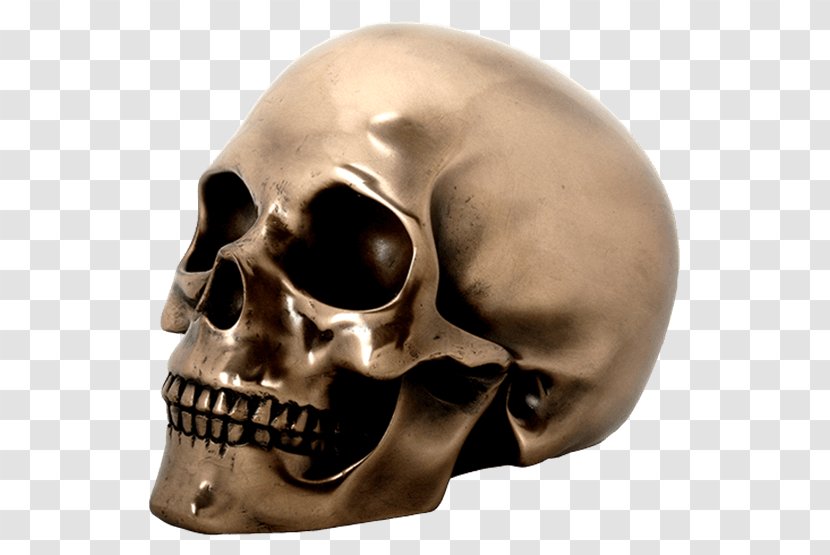 Bronze Sculpture Skull Statue - Head Transparent PNG