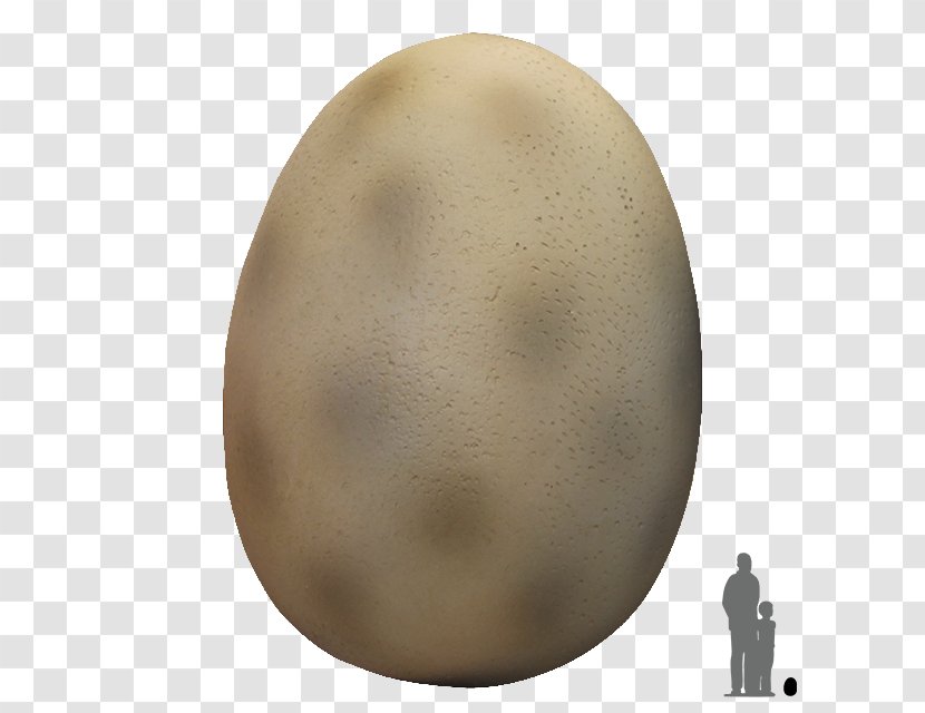 Dinosaur Egg Animal Transparent PNG