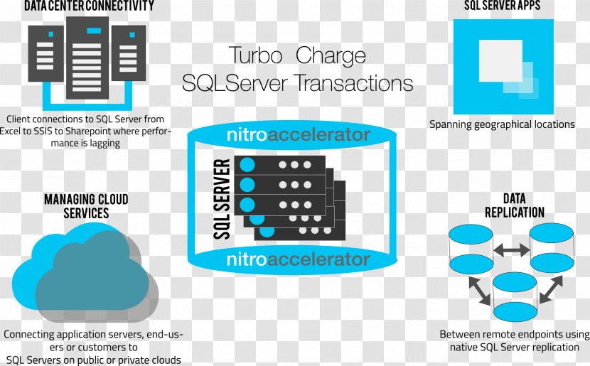 Microsoft SQL Server Database Connection Computer Servers - Document - Slow Crossword Transparent PNG