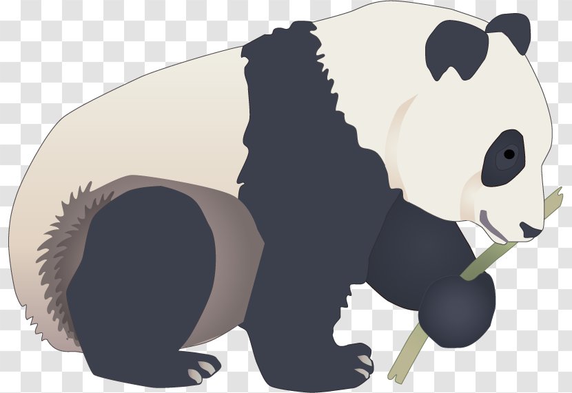 Giant Panda - Mammal - Painted Vector Transparent PNG
