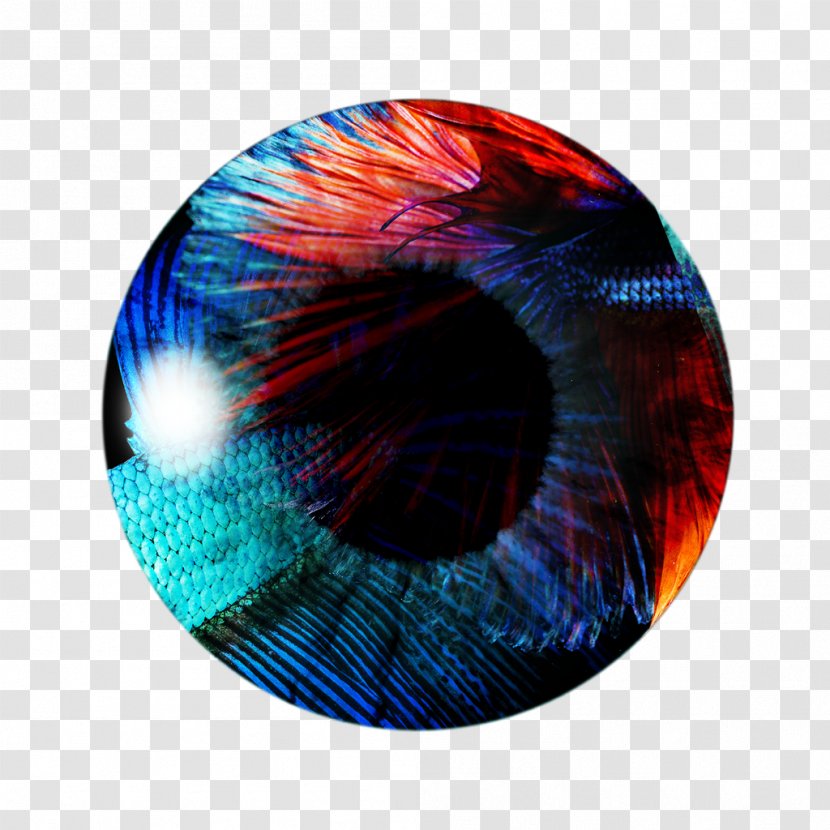 PicsArt Photo Studio Color Eye Light - Iris Transparent PNG