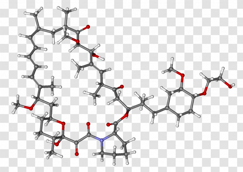 Everolimus Sirolimus MTOR Inhibitors Sorafenib - Technology - Substance Transparent PNG