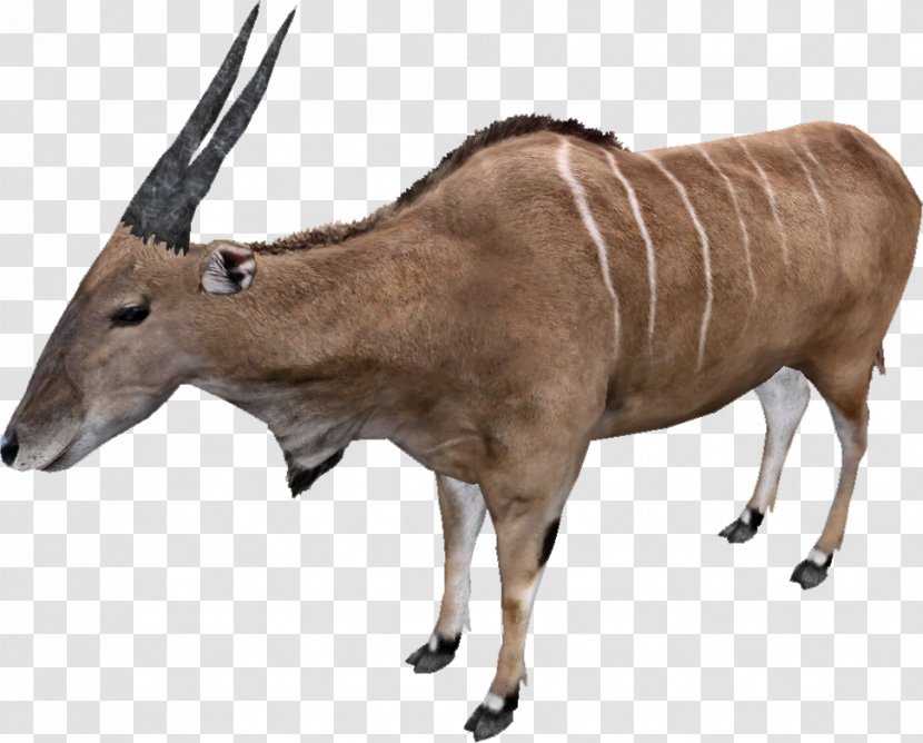Zoo Tycoon 2: Dino Danger Pack Common Eland Video Game Remake Even-toed Ungulate - Cattle Like Mammal - European Design Transparent PNG